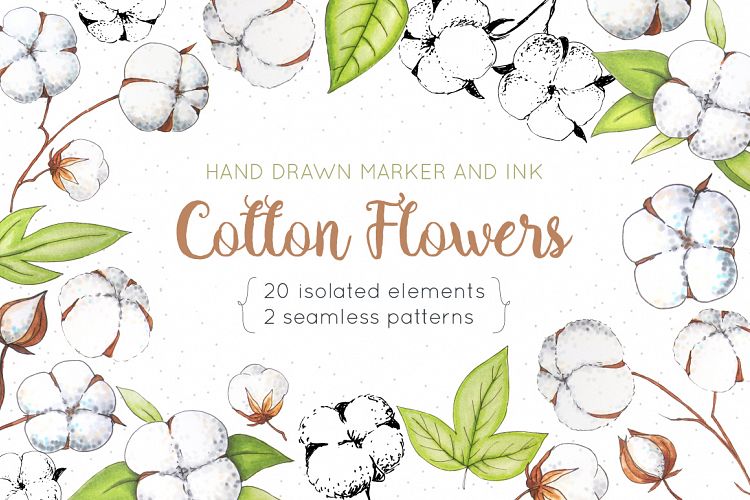Cotton Flowers Handdrawn Set