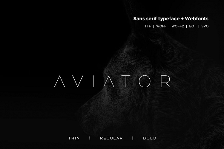 Aviator - Modern Typeface WebFont