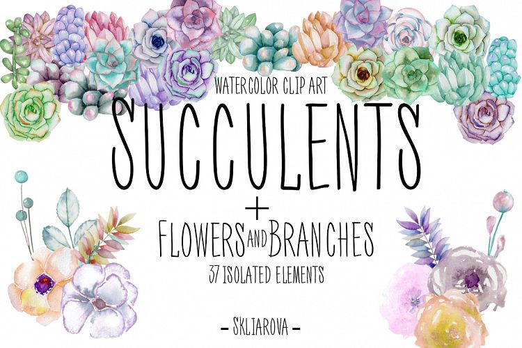 Succulents. Watercolor clip art