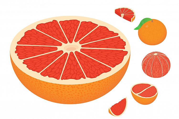 Grapefruit icons set, isometric style example image 1