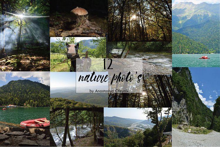 12 Nature and horse photos