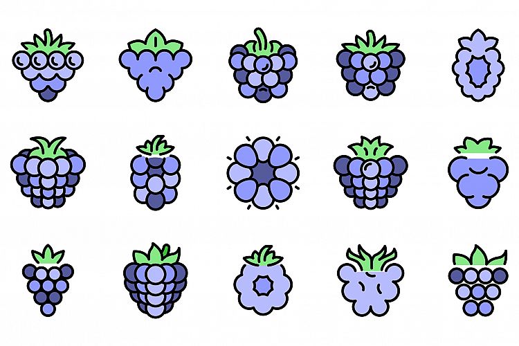 Blackberry icons vector flat example image 1