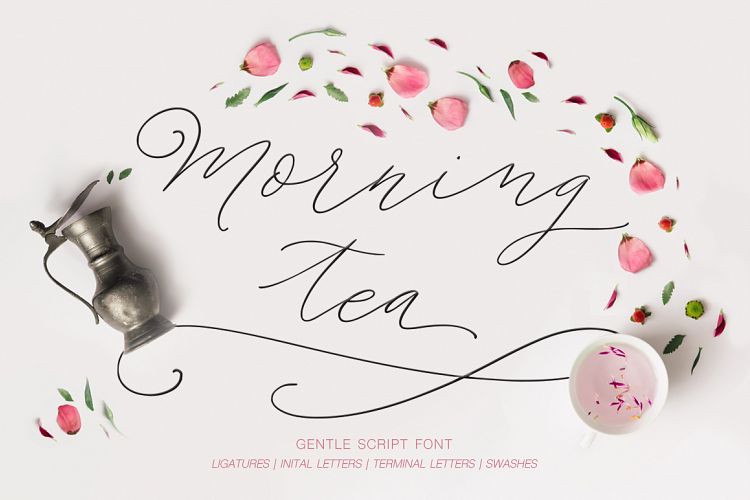 Morning tea. Script font.