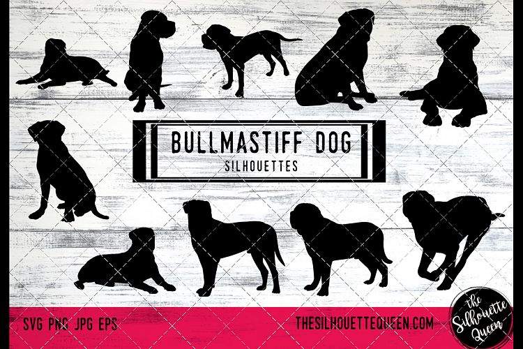 Bullmastiff Dog svg files cricut, silhouette clip art, Vecto