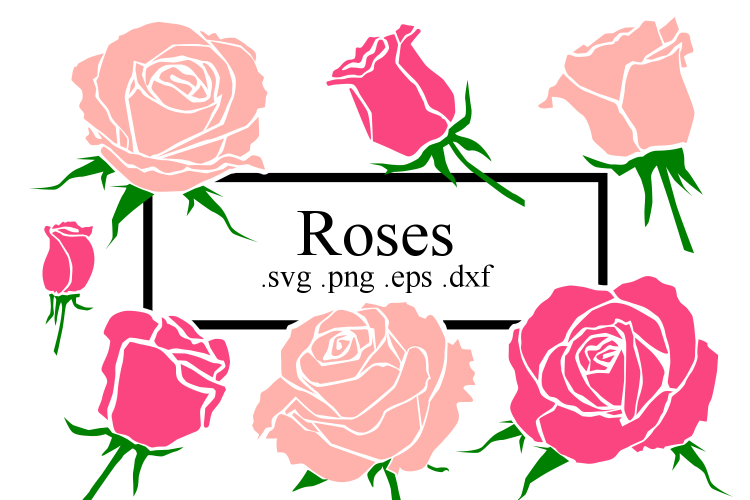 Roses SVG Decorative set