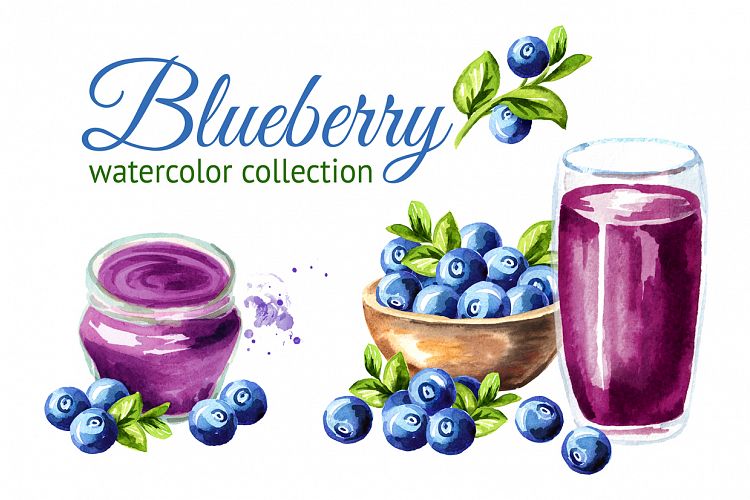 Blueberry. Watercolor collection