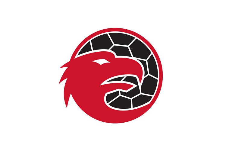 European Eagle Handball Mascot