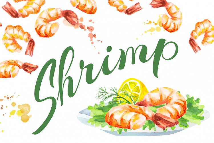 Shrimp bundle. Watercolor