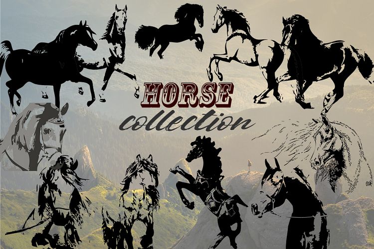 Hand drawn horse collection, vector