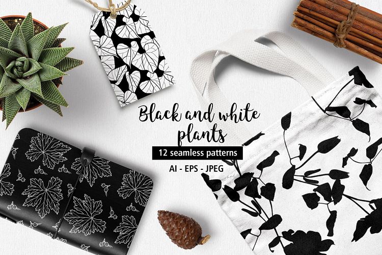 Black and white plants patterns