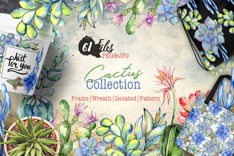 Succulents cactus PNG watercolor