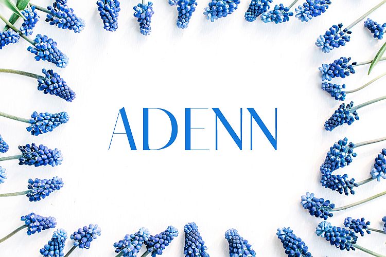 Adenn Sans Serif Typeface