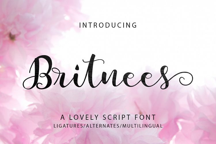 Britnees Script