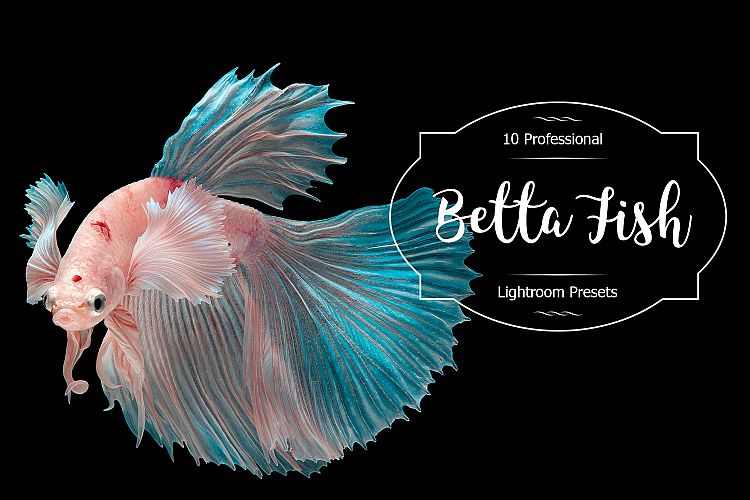 Betta Fish Lr Presets