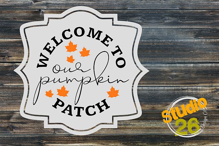 Welcome to our Pumpkin Patch