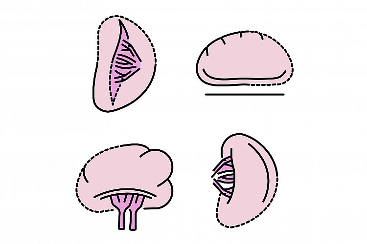 Color Clipart Image 3