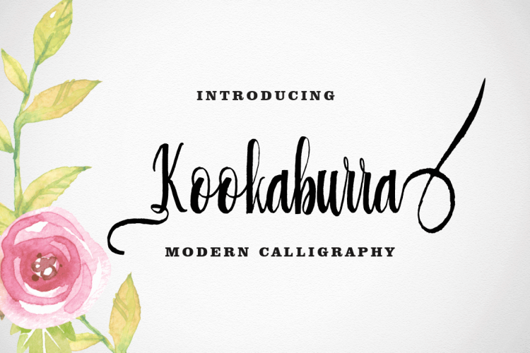 Kookaburra