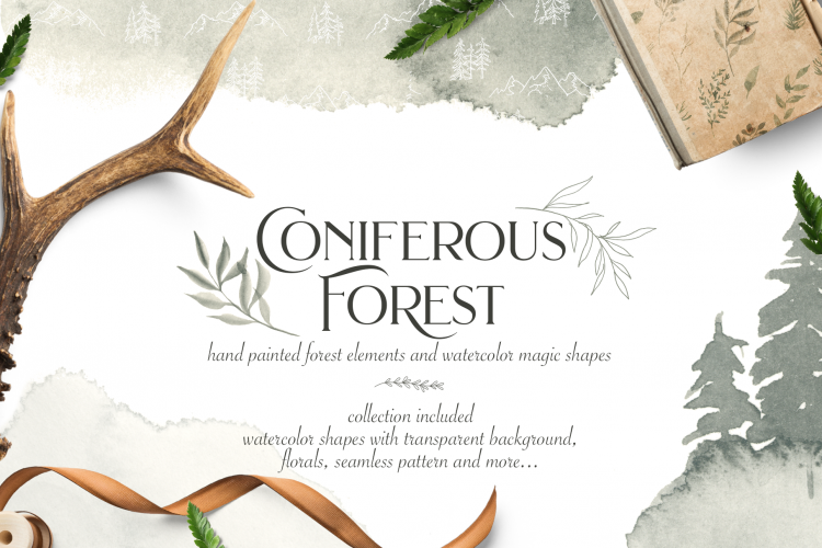 CONIFEROUS FOREST