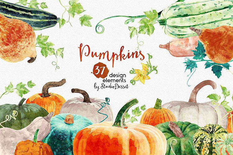 Pumpkins Watercolor Illustrations
