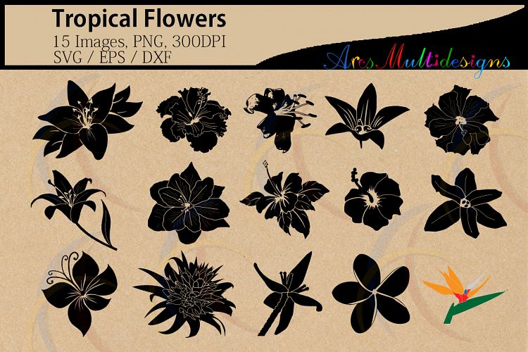 Tropical flowers silhouette svg / HQ / flowers silhouette / vector tropical flowers / all kind of flowers / SVG / PNG / Eps /Dxf / instant