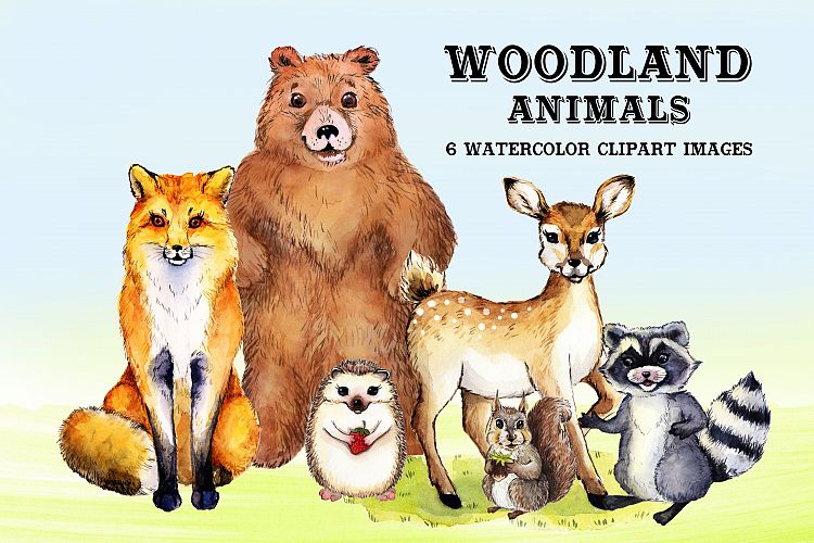 Watercolor Woodland Animals #2 by Whimseez