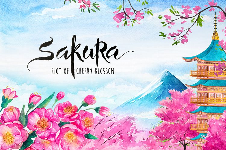 Sakura. Riot of Cherry blossom.