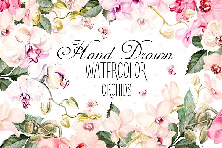 Hand Drawn Watercolor Orchids