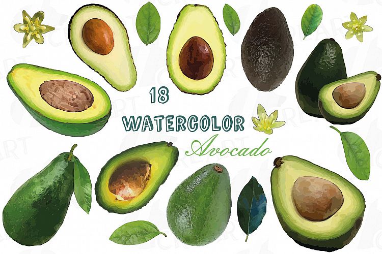 Watercolor Avocado clip art pack,avocado leaves and flowers