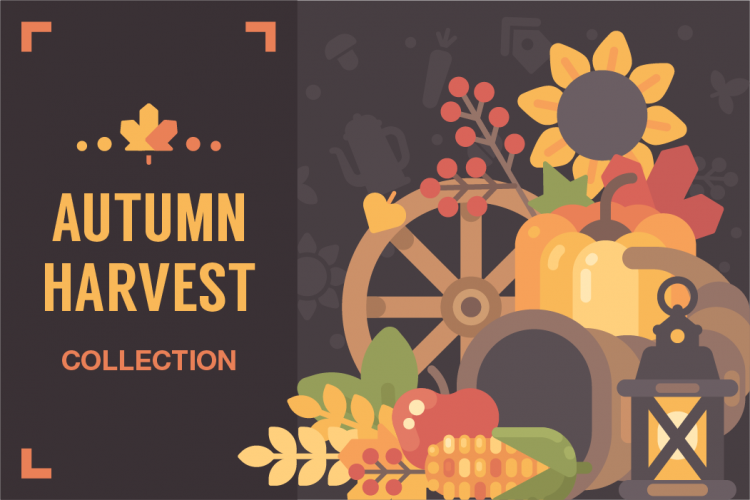 Autumn Harvest Collection