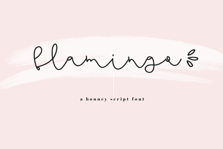 Flamingo - Handwritten Script Font