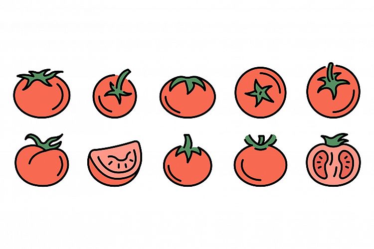 Tomato icons set vector flat example image 1