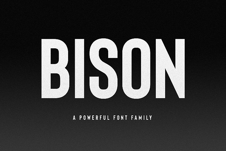 Bison - A powerful font example image 1