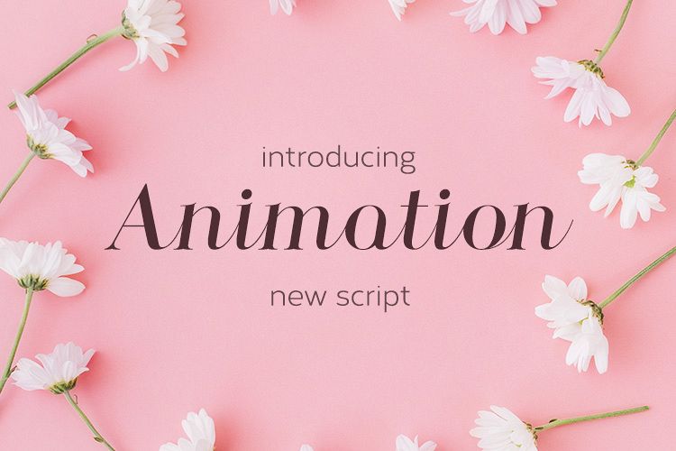 Animation
