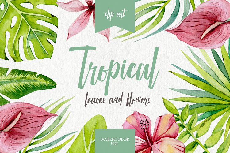Tropical leaves and flowers