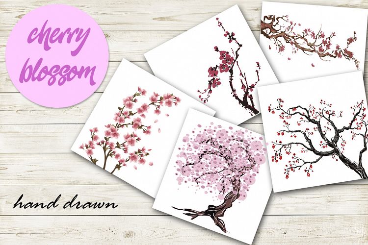 Sakura japan cherry branch with blooming flowers