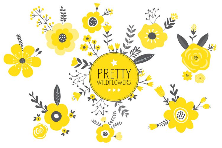 Pretty Wildflowers 