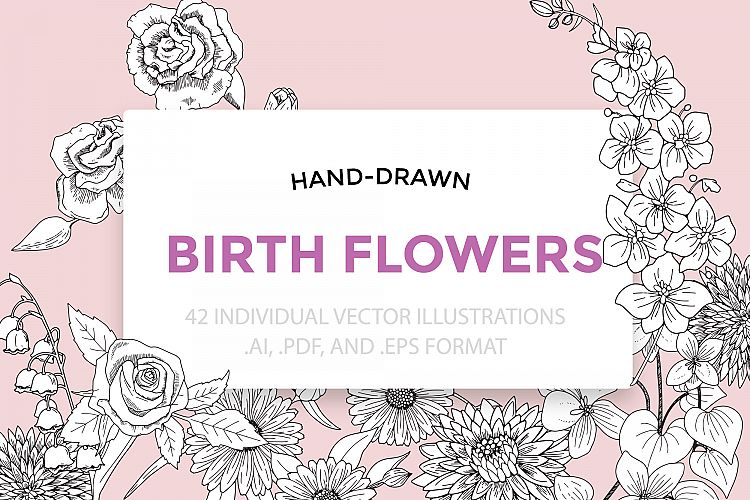 Birth Flowers Vector Illustrations