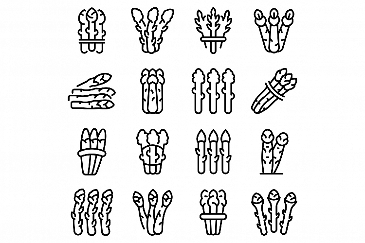 Asparagus icons set, outline style