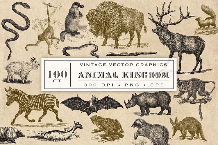 Vintage Animal Vector Graphics