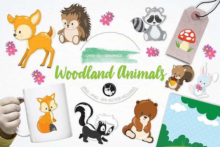 Woodland Animals graphics and illustrations