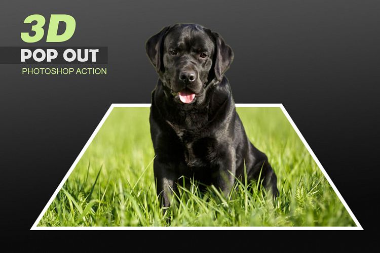 3D Pop Out Photoshop Action