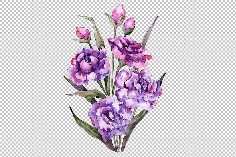 Bouquet of purple peony PNG watercolor set