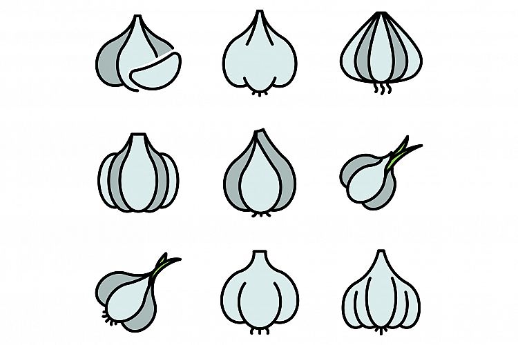 Garlic icons set vector flat example image 1