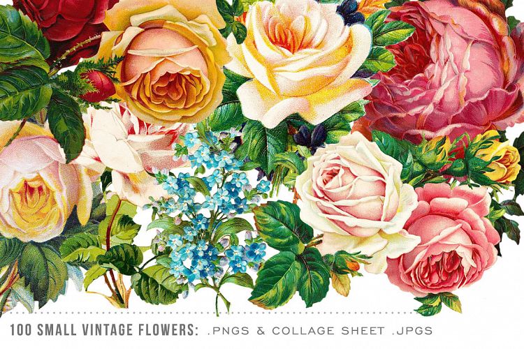 100 Small Vintage Flower Graphics