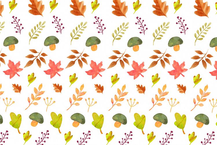 autumn elements pattern vector