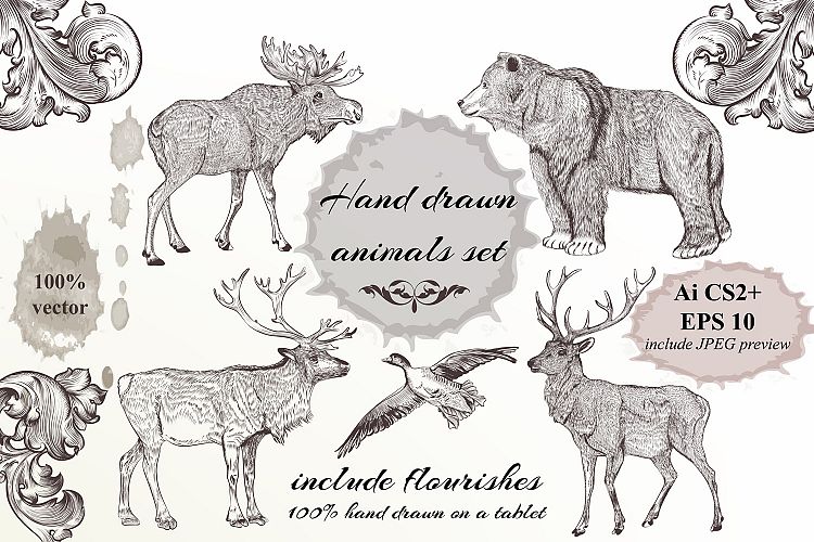 Collection of hand drawn engraved animals in vintage style