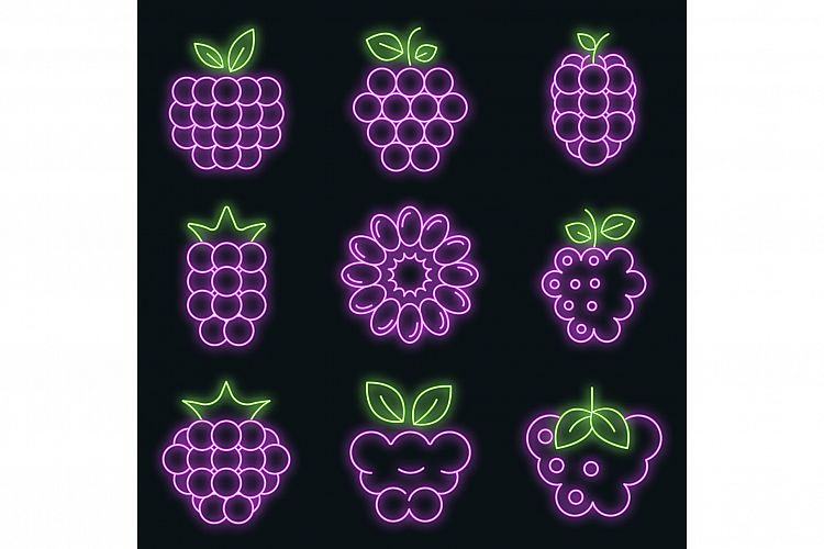 Raspberry icons set vector neon example image 1