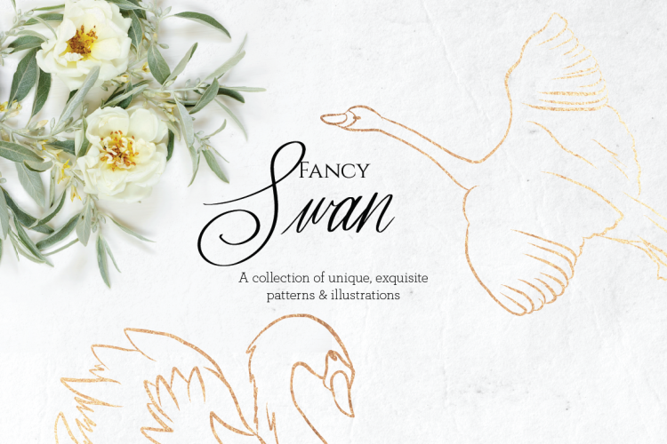Fancy Swan Collection