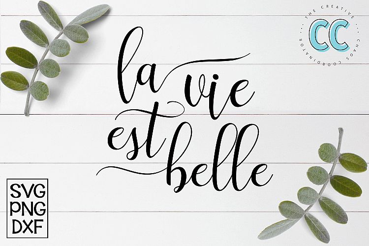 La Vie Est Belle - My Beautiful Life