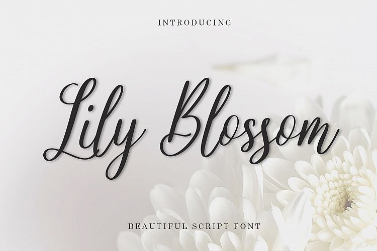Lily Blossom